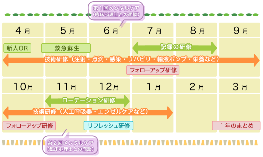 新人看護師年間スケジュール